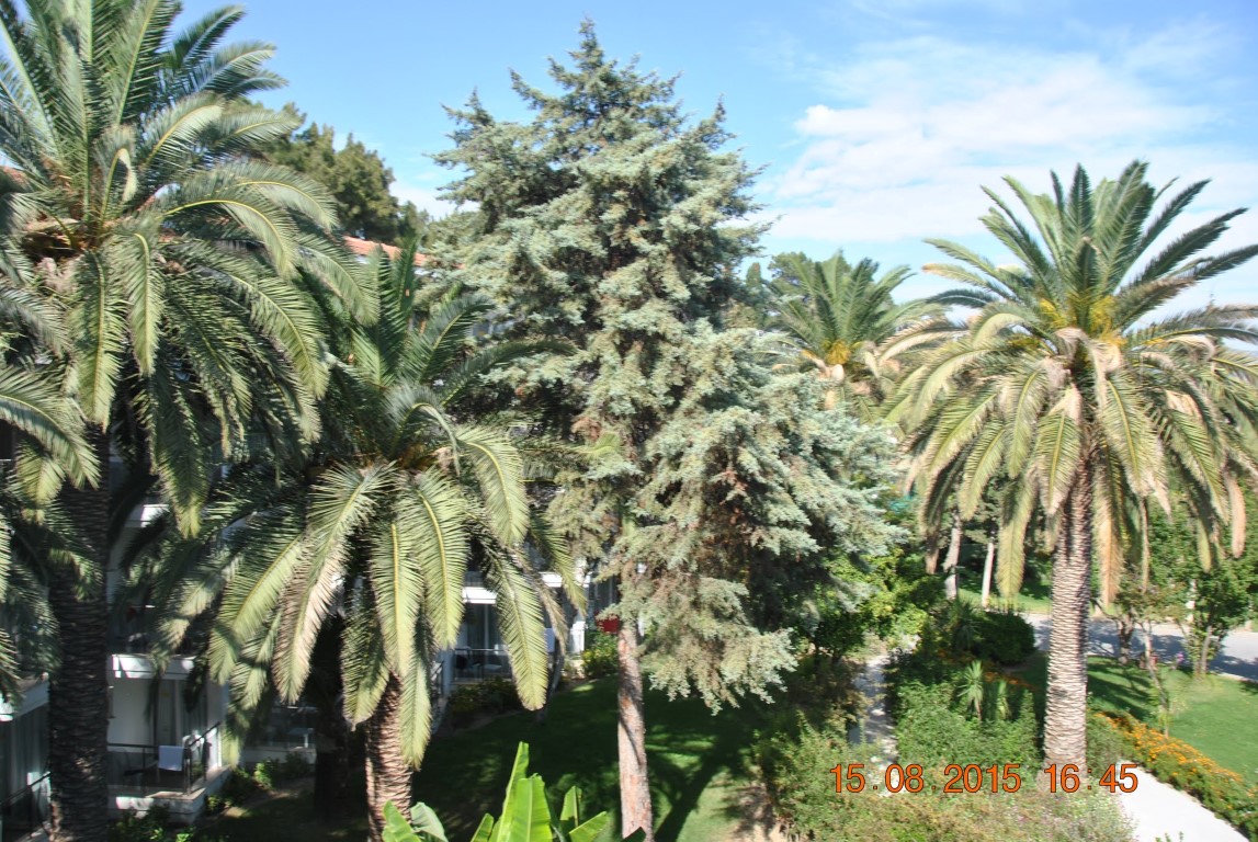 imagini hotel ATLANTIQUE KUSADASI